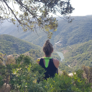 stilte natuur